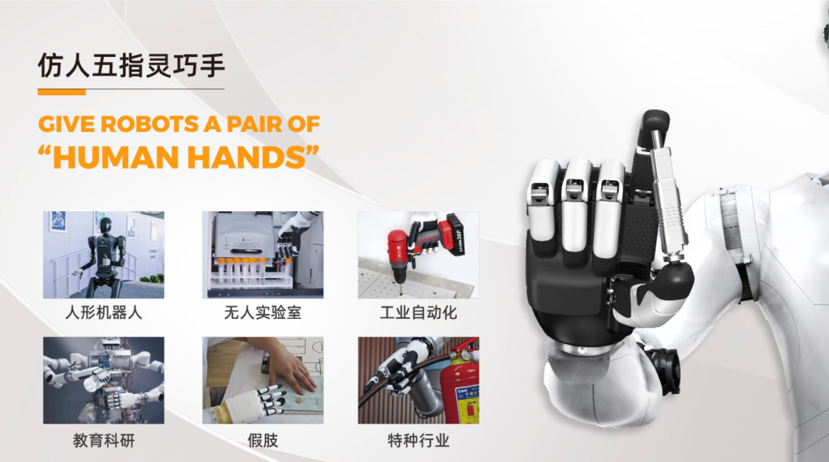 1735281737907695.jpg 05.jpg